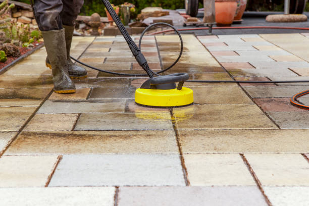 Best Sign and Awning Cleaning  in Lake Odessa, MI