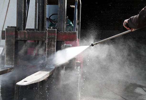 Best Roof Washing  in Lake Odessa, MI