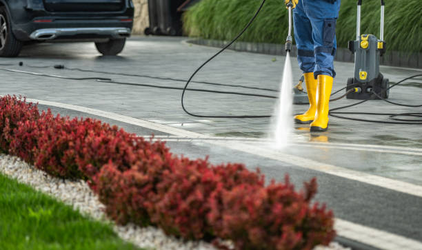 Best Fleet Vehicle Washing  in Lake Odessa, MI